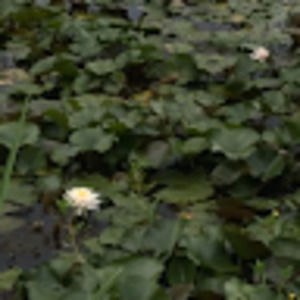 Meet your Posher, Marisa